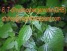 6, 7-Dihydroxybergamottin(Dhb)(Shirley At Virginforestplant Dot Com)